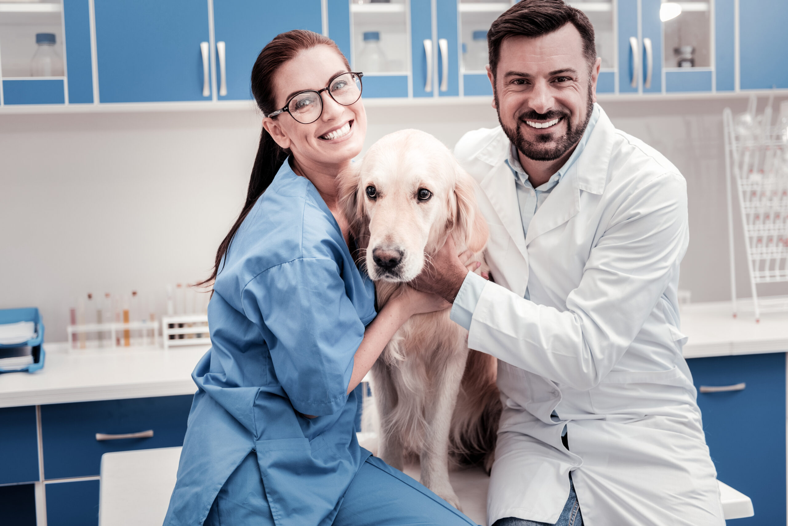 Reviving Vet Med - <strong>Why Workplace Appreciation Matters and How to Do It Well</strong>