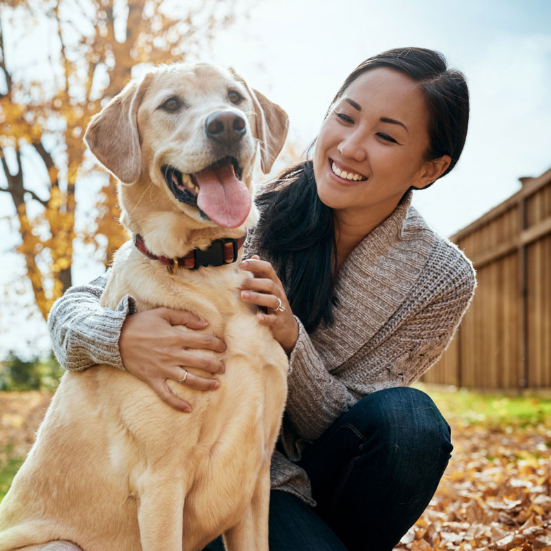 How to Be an Ally in Veterinary Medicine