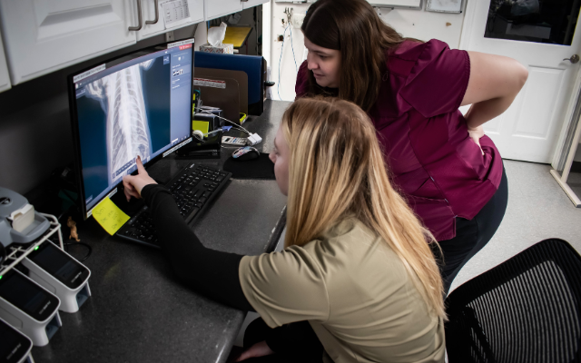veterinarians-looking-at-radiographs