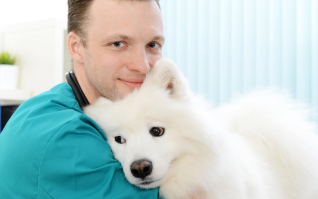 Man-hugging-samoyed-dog